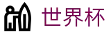 2026国际足联世界杯（中文）官方网站_世界杯足球联赛竞彩数据查询